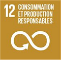 ODD N°12 - Consommation et production durable