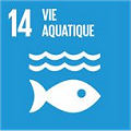 ODD N°14 - Vie aquatique